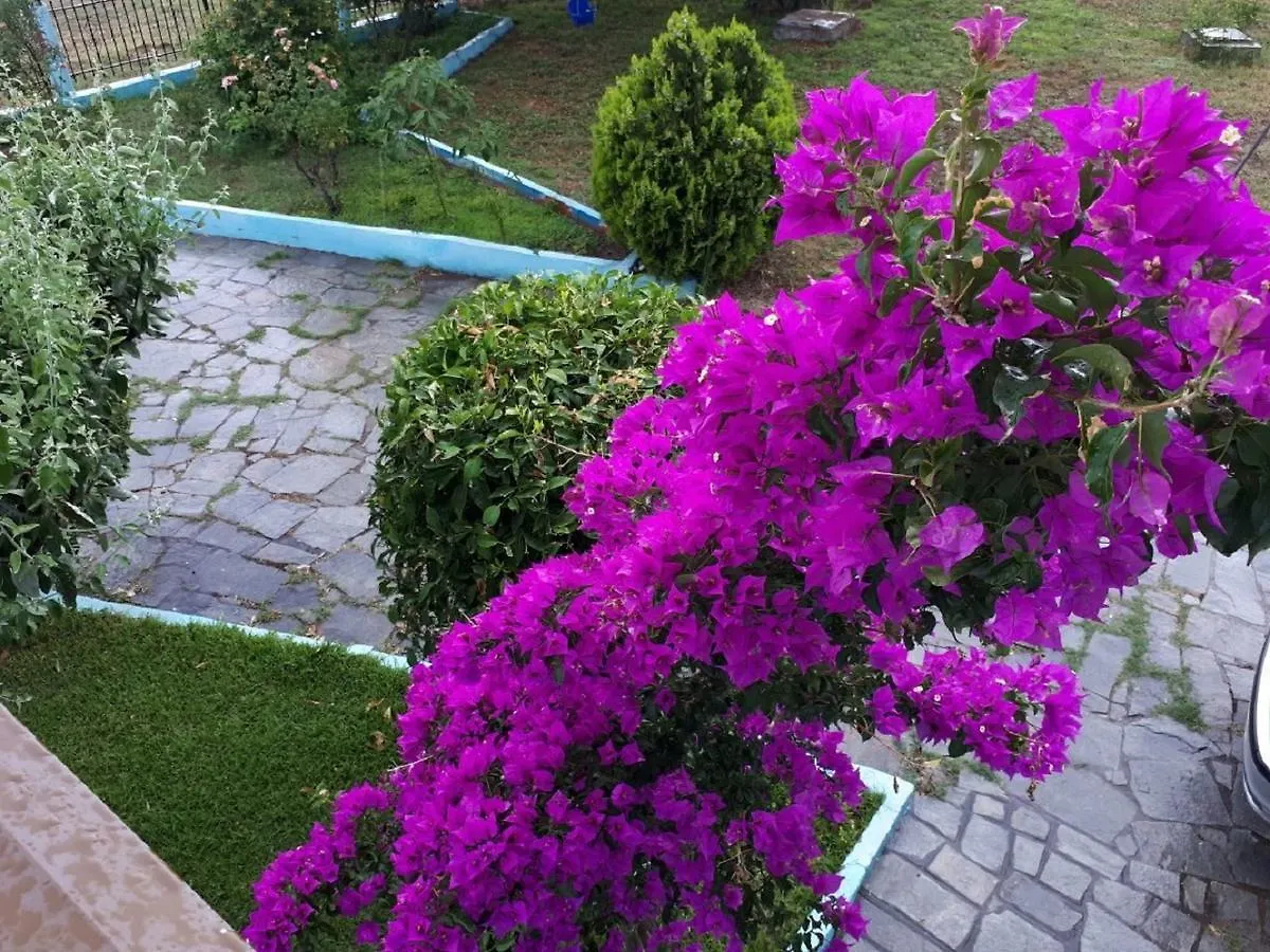 ** Aparthotel Votsala Apartments Mola Kalyva Greece